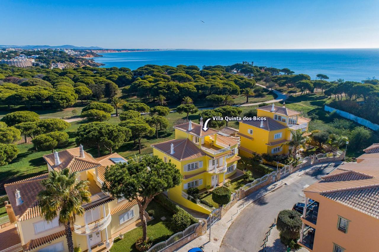 Villa Quinta Dos Bicos By Villa Plus Албуфейра Экстерьер фото